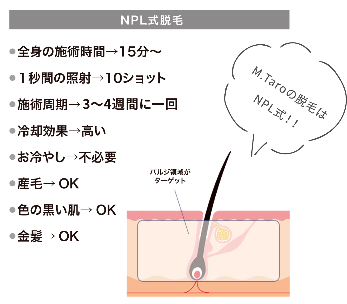 NPL式脱毛